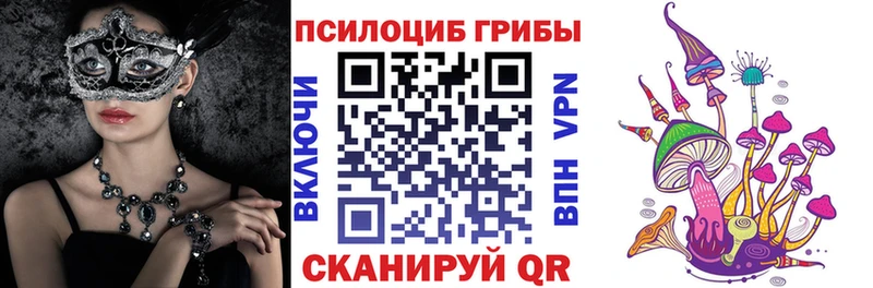 Псилоцибиновые грибы Psilocybe  купить наркотики цена  Киров 